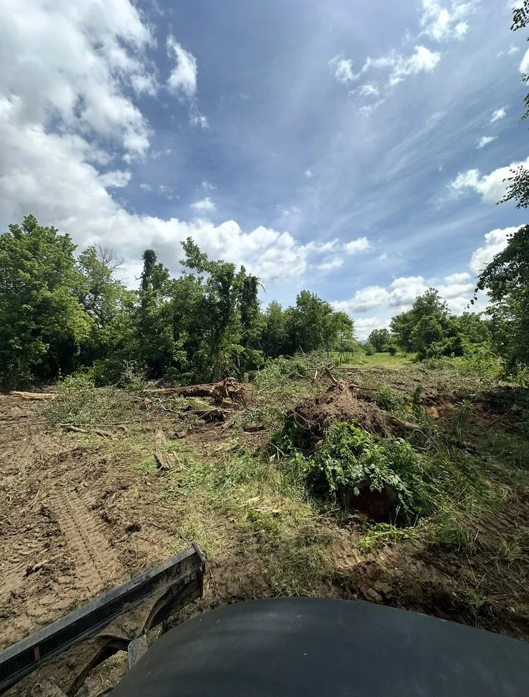 Expert garden landscaping in Winston-Salem, NC by Haul Yeah