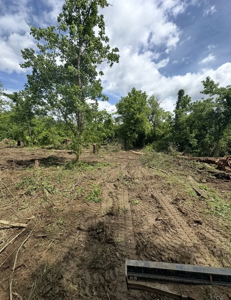 Affordable residential landscaping in Winston-Salem, NC - Haul Yeah