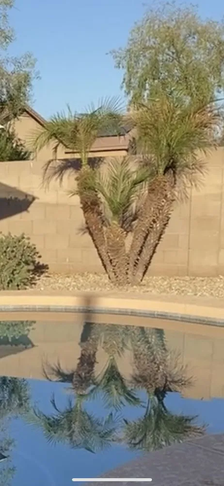 Affordable lawn mowing service in Goodyear, AZ by Haulers Landscaping