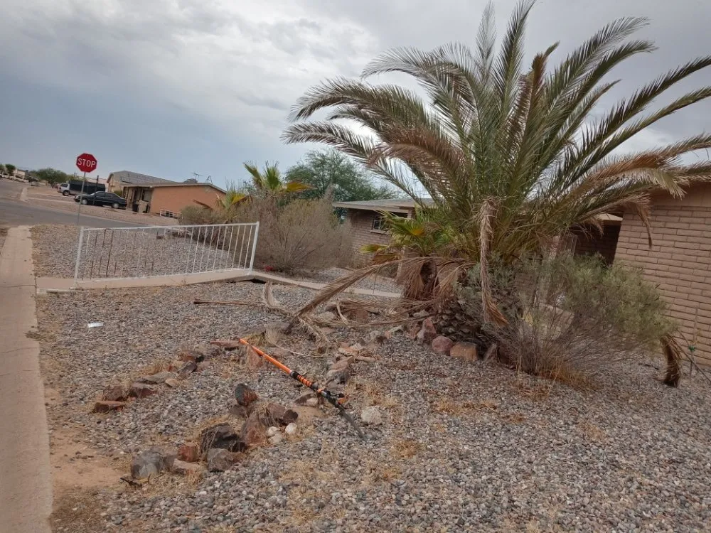 Local yard maintenance in Arizona City, AZ - Hauling & Landscape Service