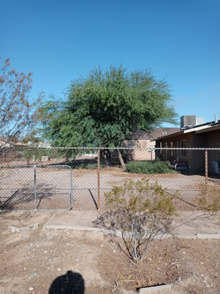 Expert landscaping services in Arizona City, AZ - Hauling & Landscape Service