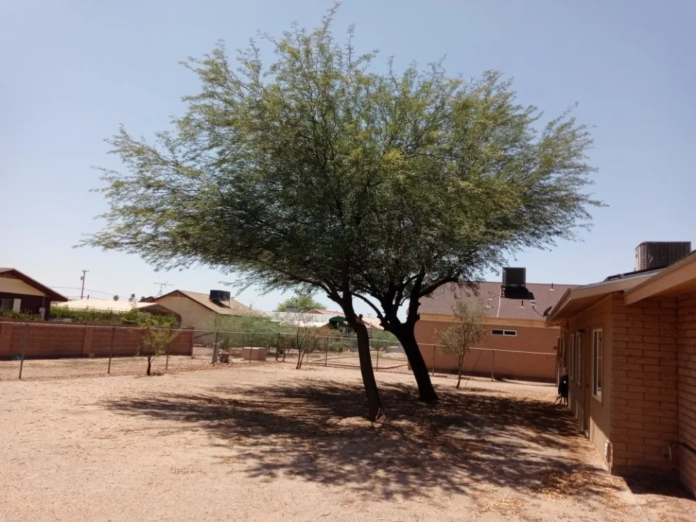 Trusted garden landscaping experts serving Arizona City, AZ - Hauling & Landscape Service