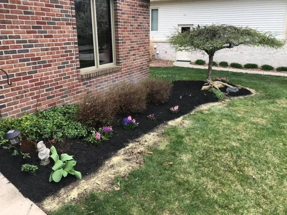 Local landscape design experts serving Riga, MI - Hauser Lawn Care