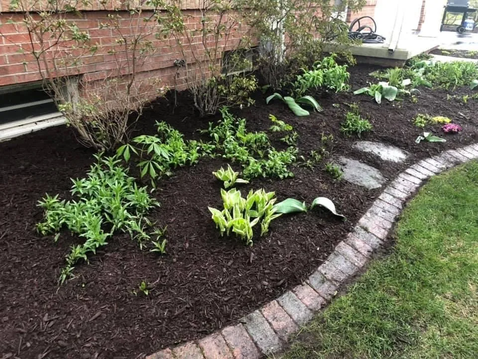Top-rated yard maintenance near you across Riga, MI - Hauser Lawn Care
