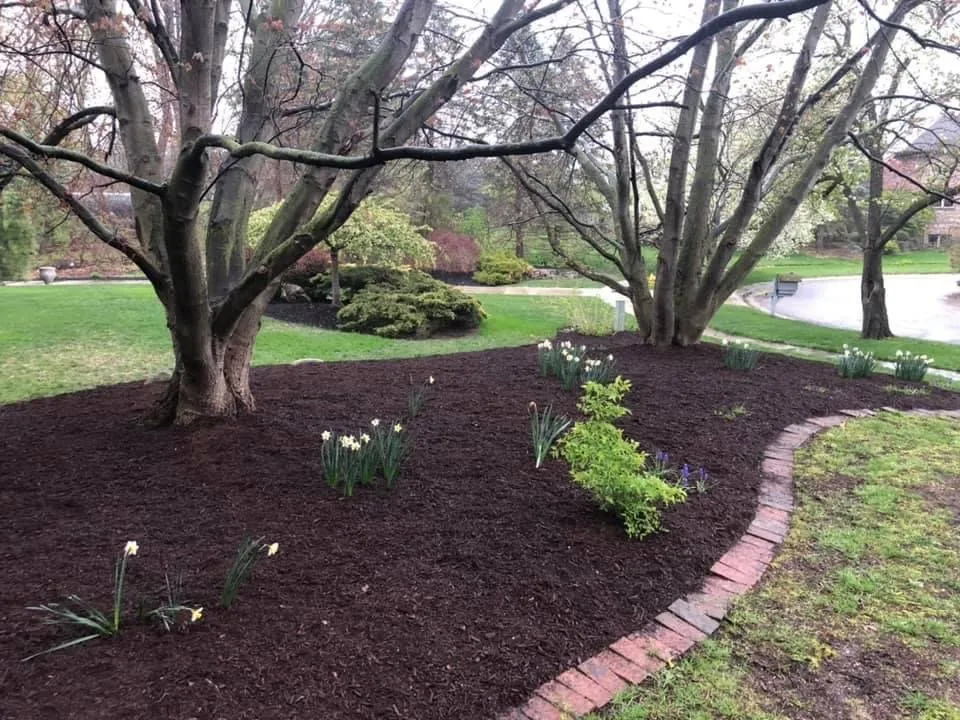Reliable lawn care service for beautiful yards across Riga, MI - Hauser Lawn Care