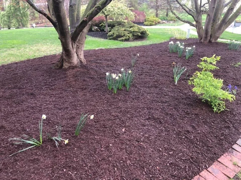 Top-rated lawn care service in Riga, MI - Hauser Lawn Care