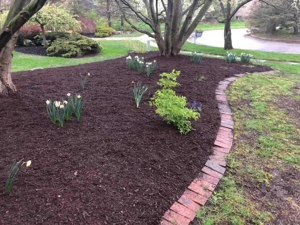 Local yard maintenance in Riga, MI - Hauser Lawn Care