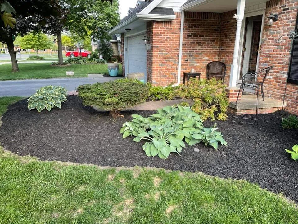 Expert lawn mowing service for outdoor upgrades across Riga, MI - Hauser Lawn Care