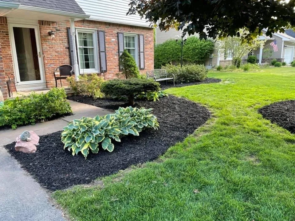 Professional landscaping services for beautiful yards in Riga, MI by Hauser Lawn Care