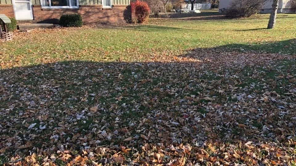 Reliable landscape installation in Riga, MI by Hauser Lawn Care