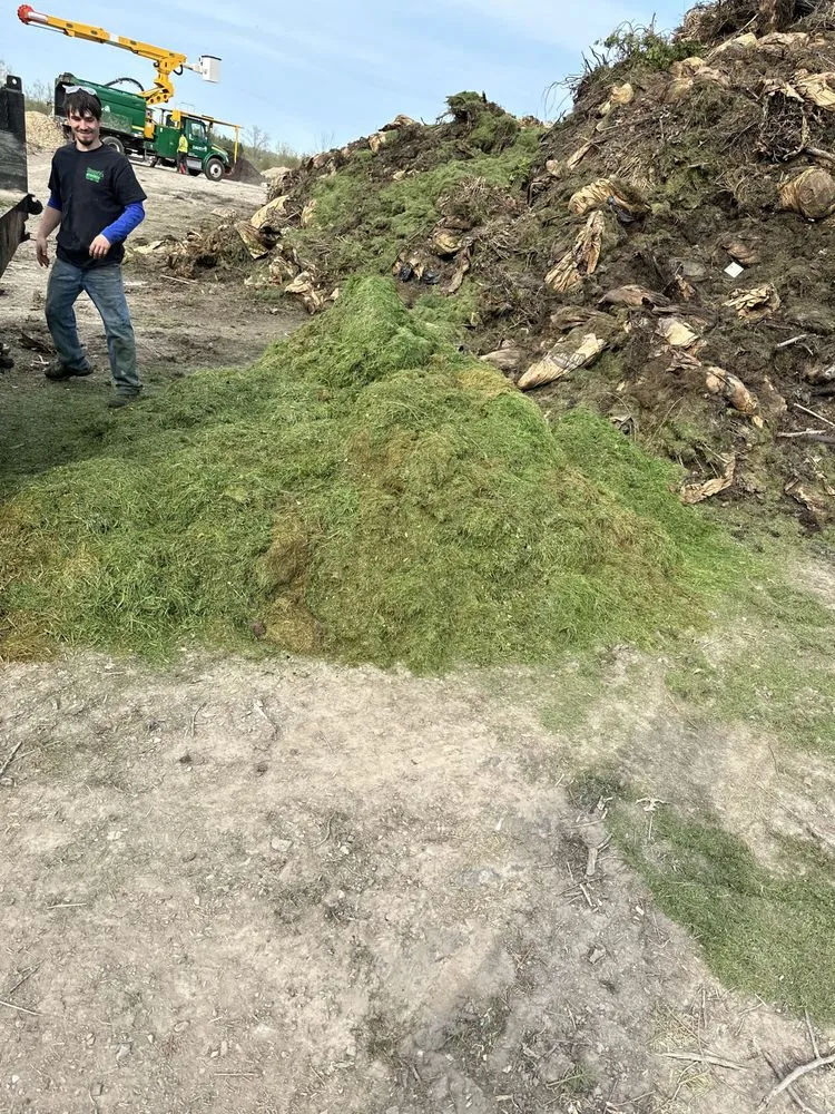 Affordable landscaping services for homes across Depew, NY - Hauser's Complete Care