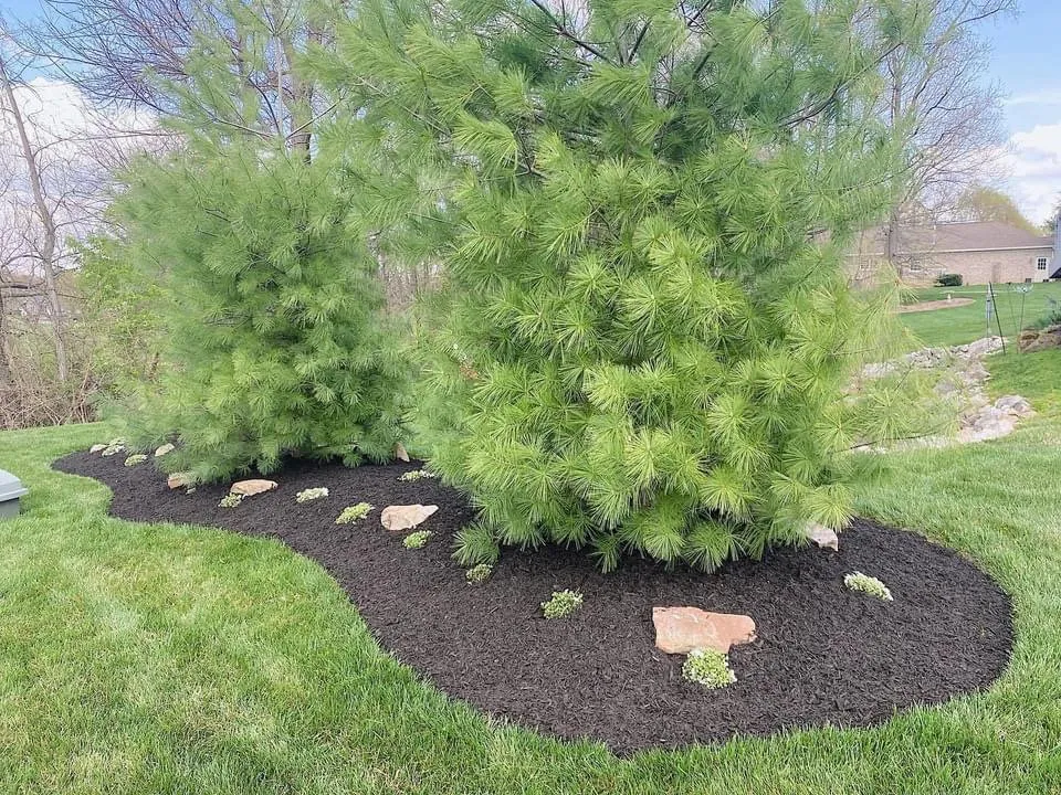 Professional outdoor landscaping experts serving Evansville, IN - Hausmann Outdoor Solutions