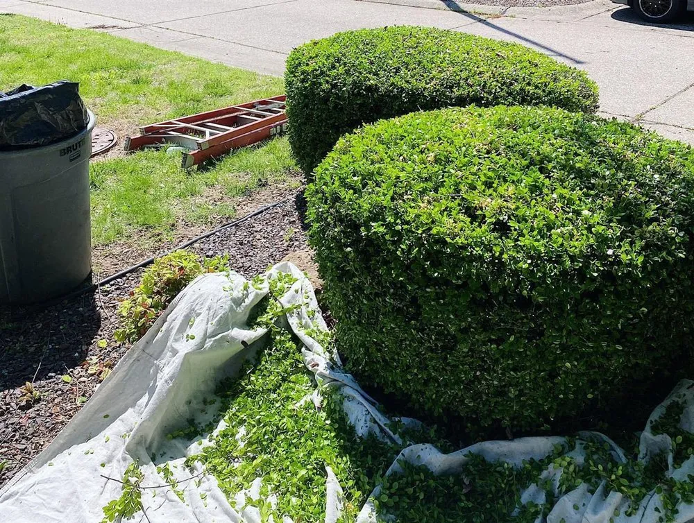 Custom yard maintenance experts serving Evansville, IN - Hausmann Outdoor Solutions