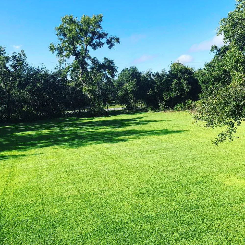 Expert lawn mowing service near you in Arcadia, FL by Hausman's Lawn Care
