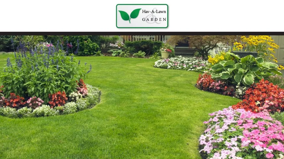 Top-rated yard maintenance in Myersville, MD - Hav-A-Lawn & Garden
