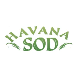 Professional lawn mowing service in Havana, FL - Havana Sod
