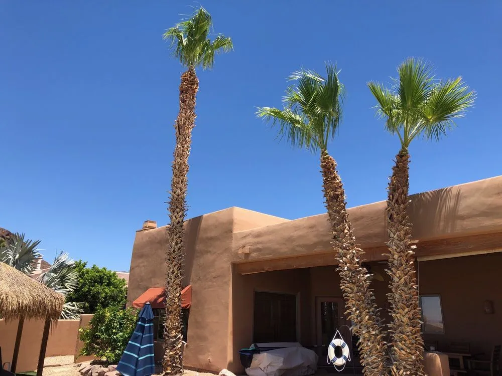 Reliable landscaping services in Lake Havasu City, AZ - Havasu Landscaping Maintenance