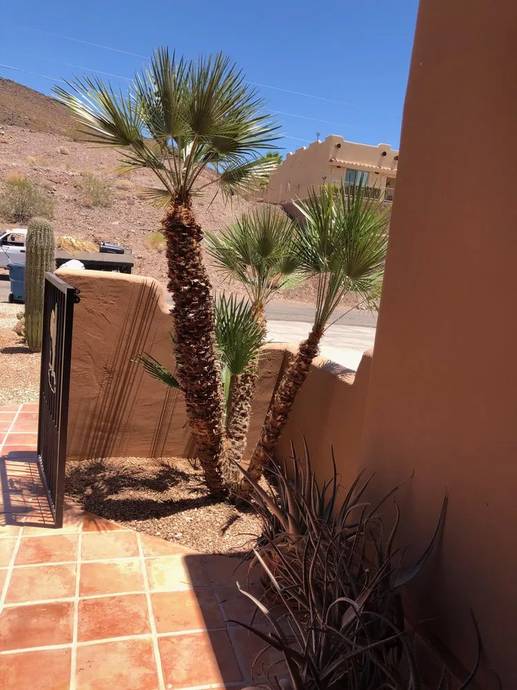 Reliable lawn care service in Lake Havasu City, AZ by Havasu Landscaping Maintenance