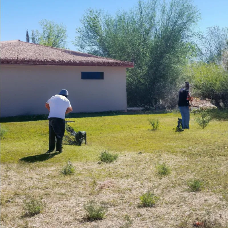 Top-rated residential landscaping in Phoenix, AZ by Have Weedeater Will Wack