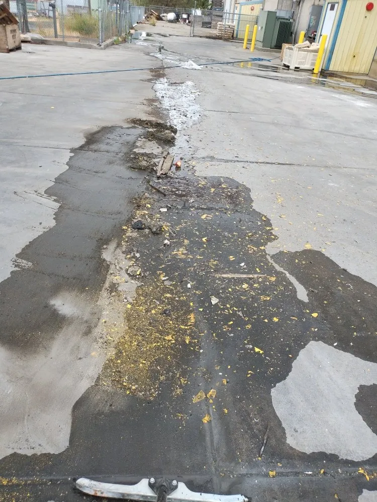 Local landscaping services experts serving kennewick, WA - Haven Cleaning Services