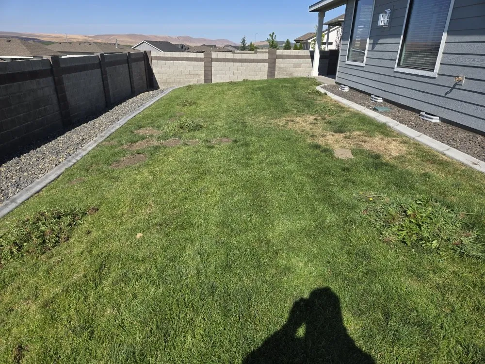 Trusted yard maintenance in kennewick, WA - Haven Cleaning Services