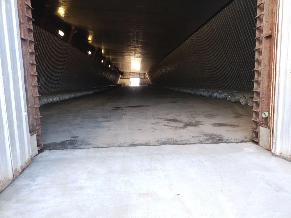 Professional yard cleanup service for outdoor upgrades in kennewick, WA by Haven Cleaning Services