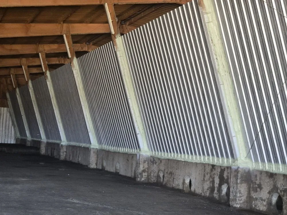 Top-rated landscaping services for outdoor upgrades in kennewick, WA by Haven Cleaning Services