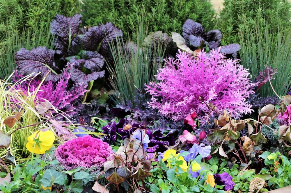 Professional yard maintenance for year-round maintenance in Frisco, TX by Haven Landscape and Irrigation