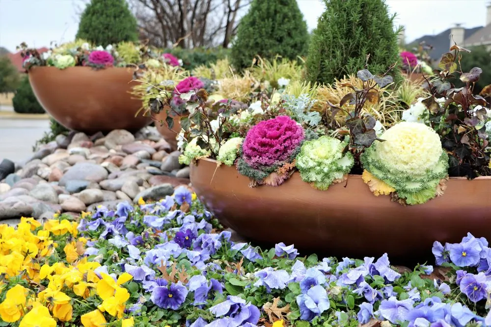 Top-rated lawn care service for year-round maintenance across Frisco, TX - Haven Landscape and Irrigation