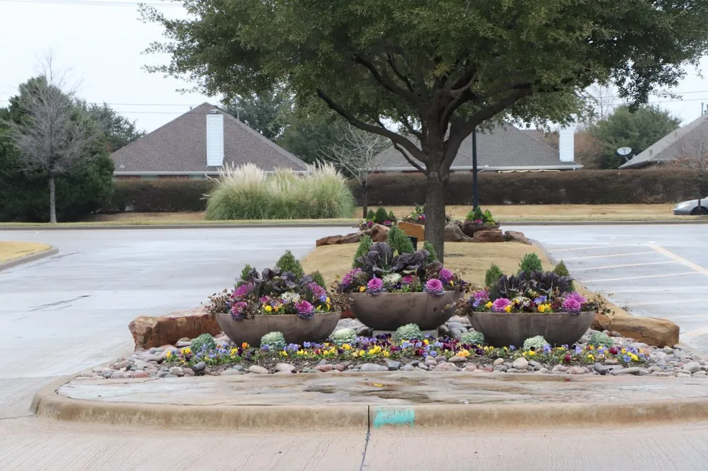 Top-rated landscape installation in Frisco, TX - Haven Landscape and Irrigation