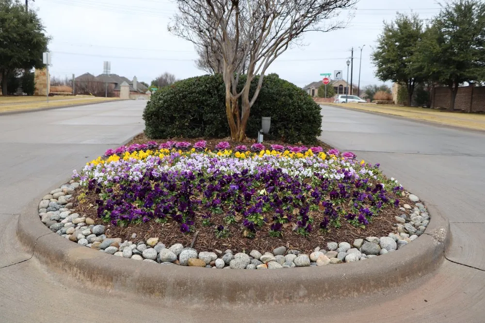 Local lawn care service in Frisco, TX - Haven Landscape and Irrigation