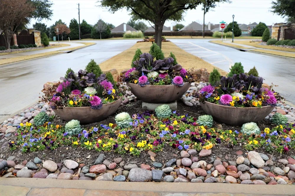 Reliable landscape design for homes in Frisco, TX by Haven Landscape and Irrigation