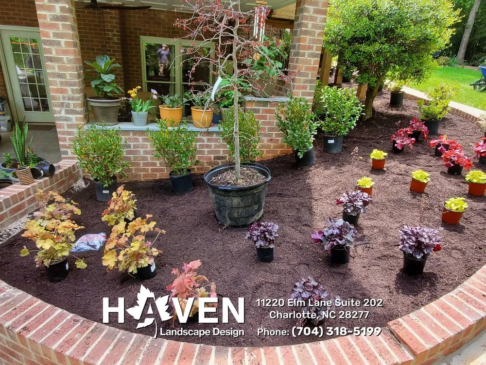 Reliable yard cleanup service experts serving Charlotte, NC - Haven Landscape Design