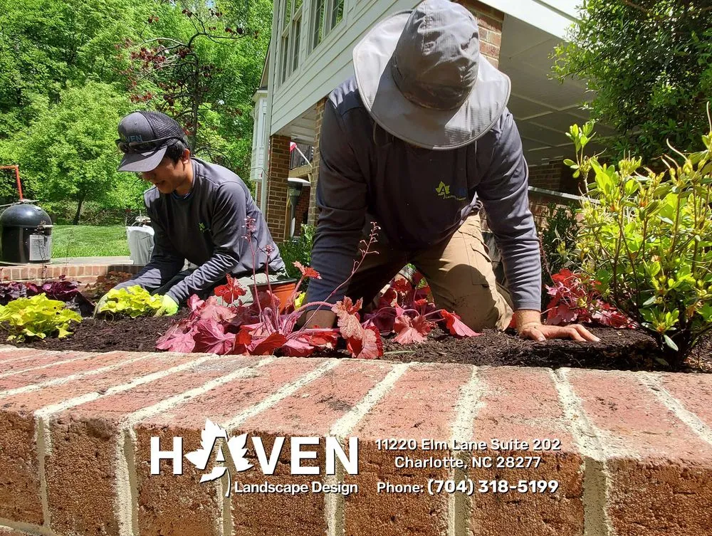 Affordable landscaping services in Charlotte, NC by Haven Landscape Design