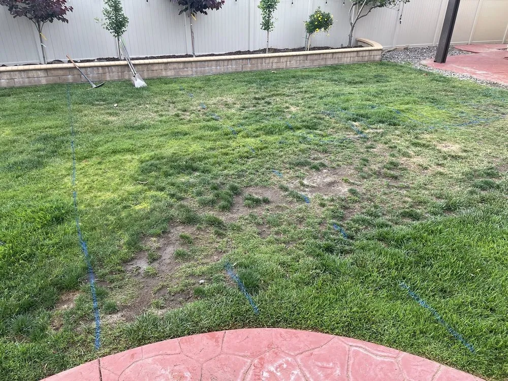 Top-rated outdoor landscaping for year-round maintenance in Rancho Cucamonga, CA by Haven Landscaping