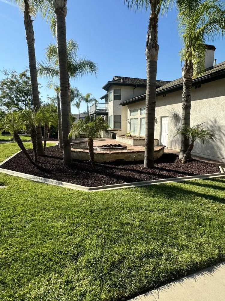 Local lawn care service experts serving Aubrey, TX - HavenHub