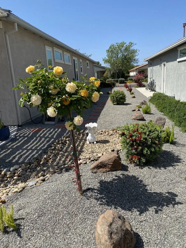 Trusted landscaping services in San Diego, CA - HavenHub