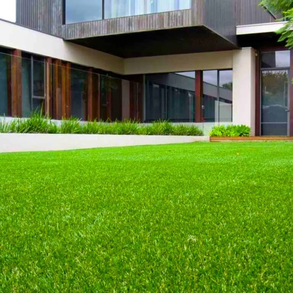 Affordable landscaping services in San Tan Valley, AZ - HavenHub