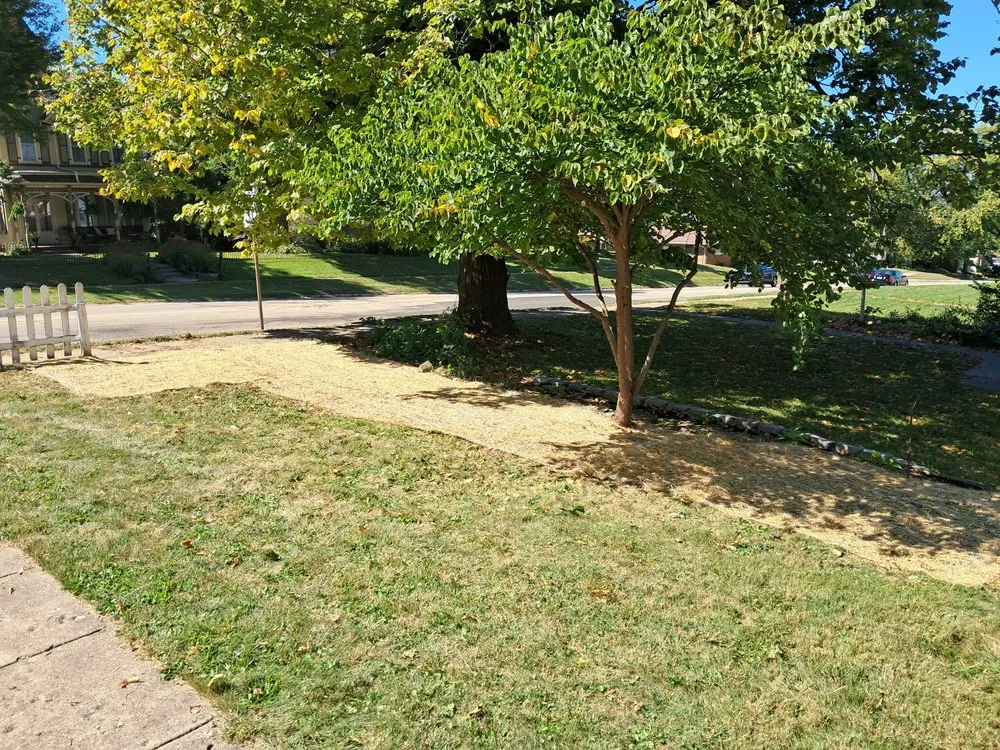 Custom residential landscaping for year-round maintenance across Scales Mound, IL - Havens Lawn Care