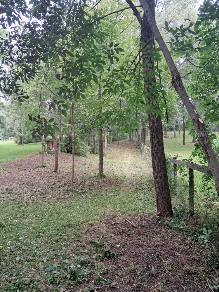 Affordable landscape design in Scales Mound, IL by Havens Lawn Care