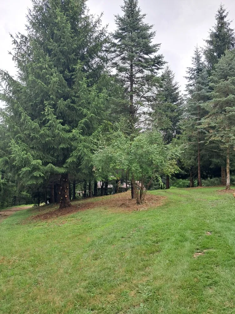 Trusted landscaping services in Scales Mound, IL by Havens Lawn Care