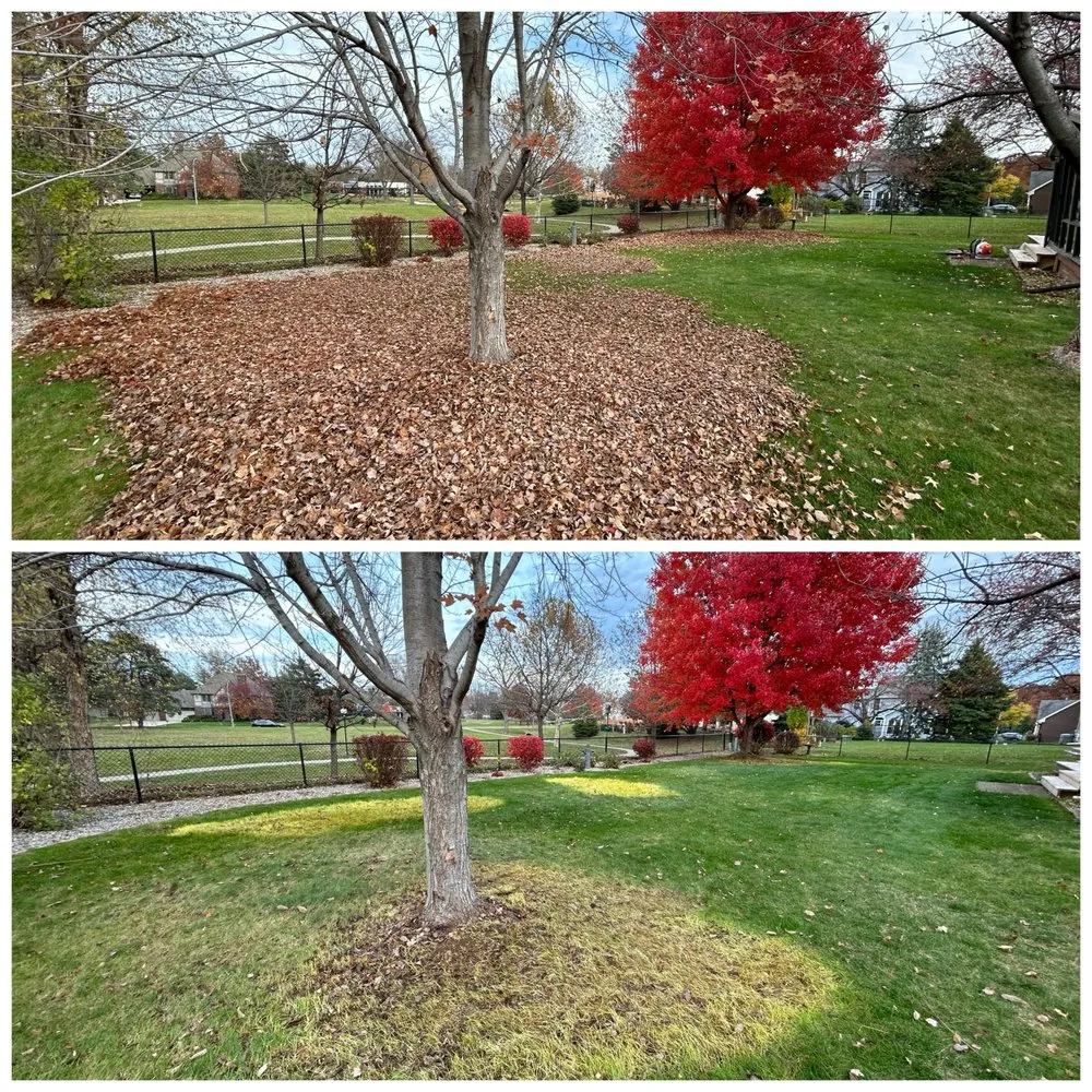 Top-rated lawn care service experts serving Des Moines, IA - Havenscapes