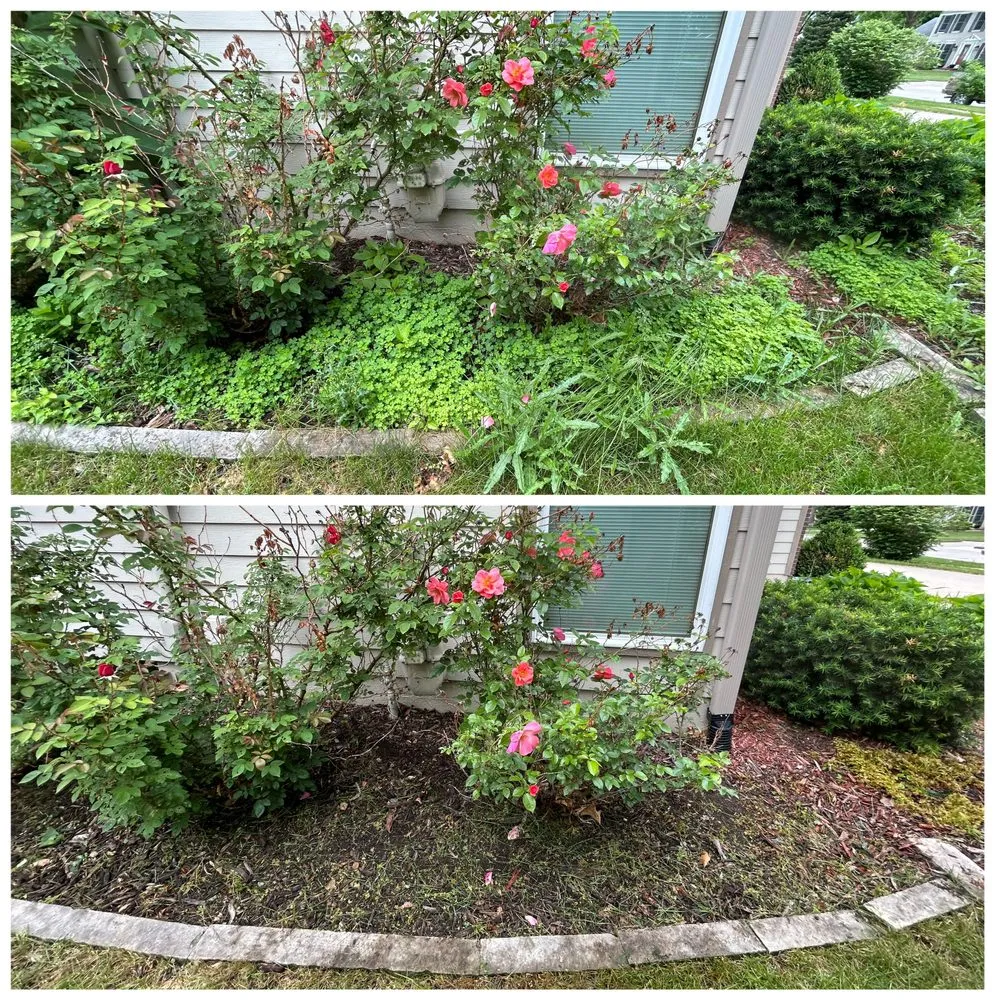 Reliable yard cleanup service experts serving Des Moines, IA - Havenscapes