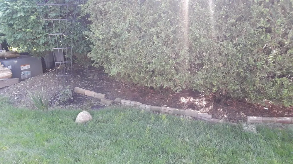 Top-rated yard maintenance experts serving Urbana, OH - Haver-Rosales LLC