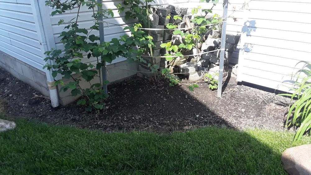 Local lawn mowing service in Urbana, OH by Haver-Rosales LLC