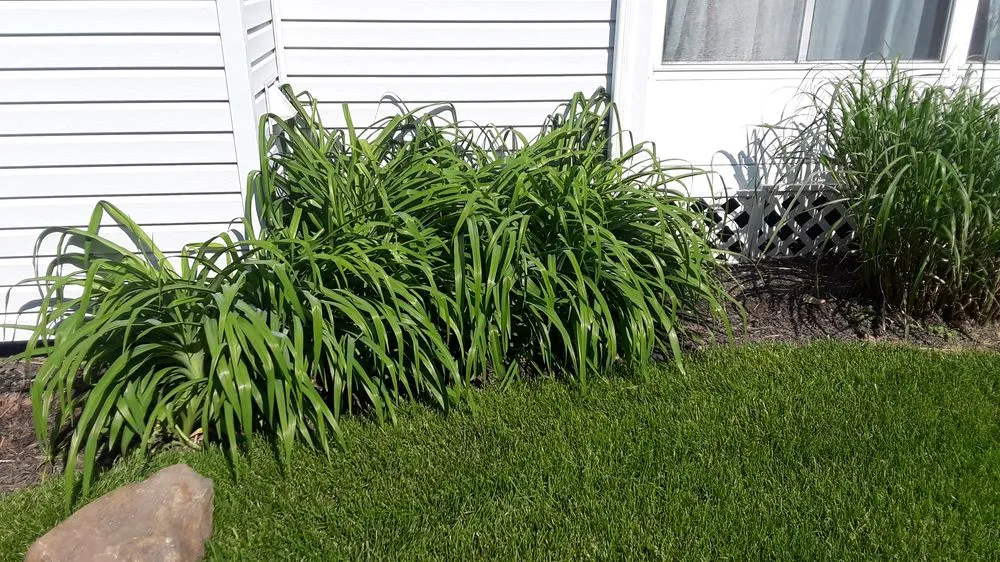 Custom garden landscaping in Urbana, OH - Haver-Rosales LLC