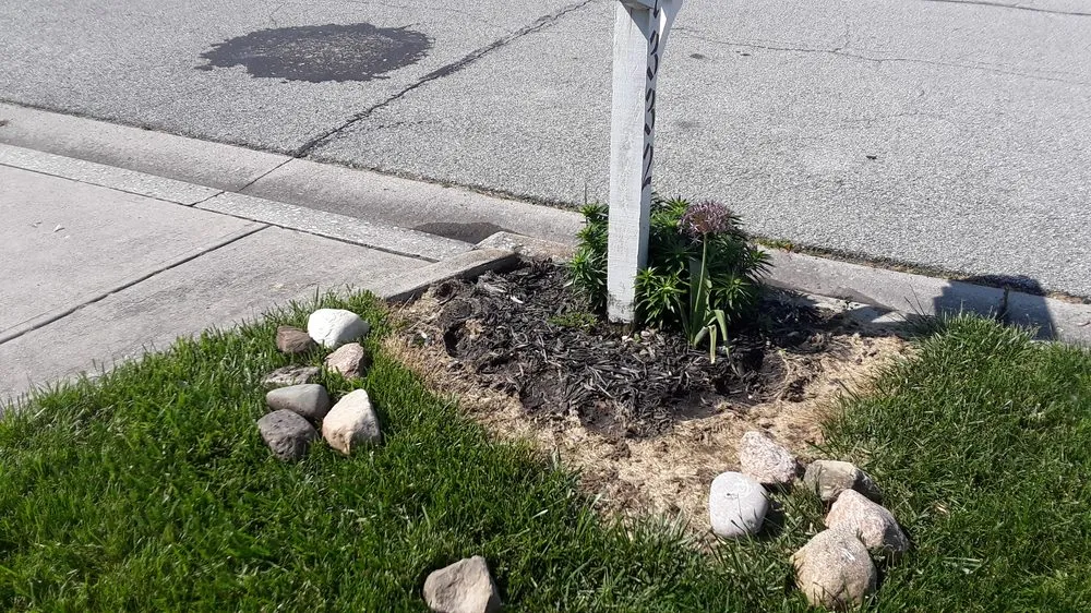 Affordable yard cleanup service experts serving Urbana, OH - Haver-Rosales LLC