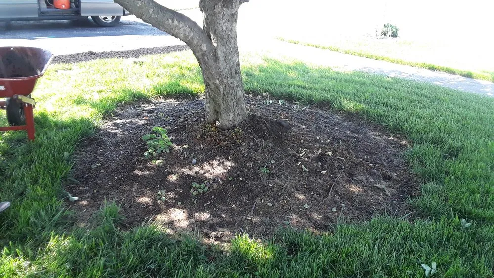 Affordable landscape installation in Urbana, OH by Haver-Rosales LLC