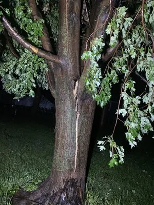 Haverdink Lawn Care