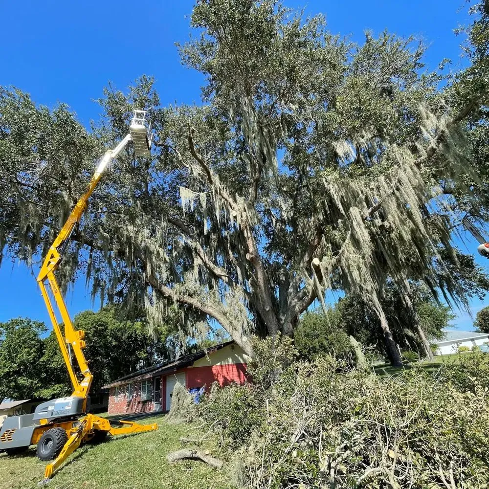 Expert landscape design experts serving Sebring, FL - Havery Property Services